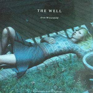 Aron Wiesenfeld art book, The Well